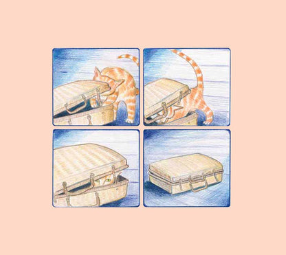 The picture book 